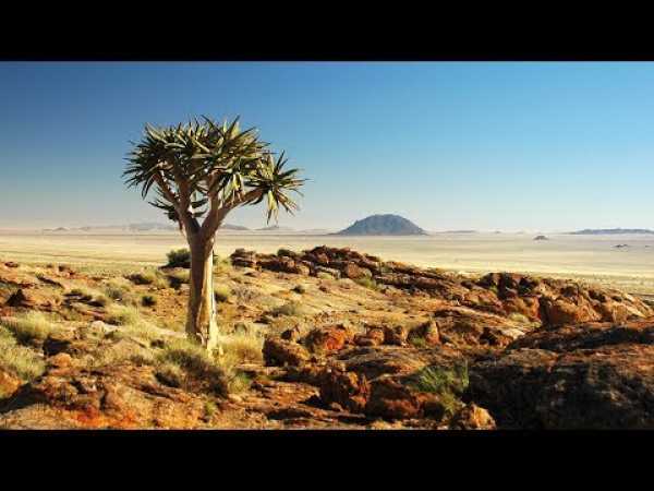 Scorching Wild Namibia (HD) - Nature Documentary â