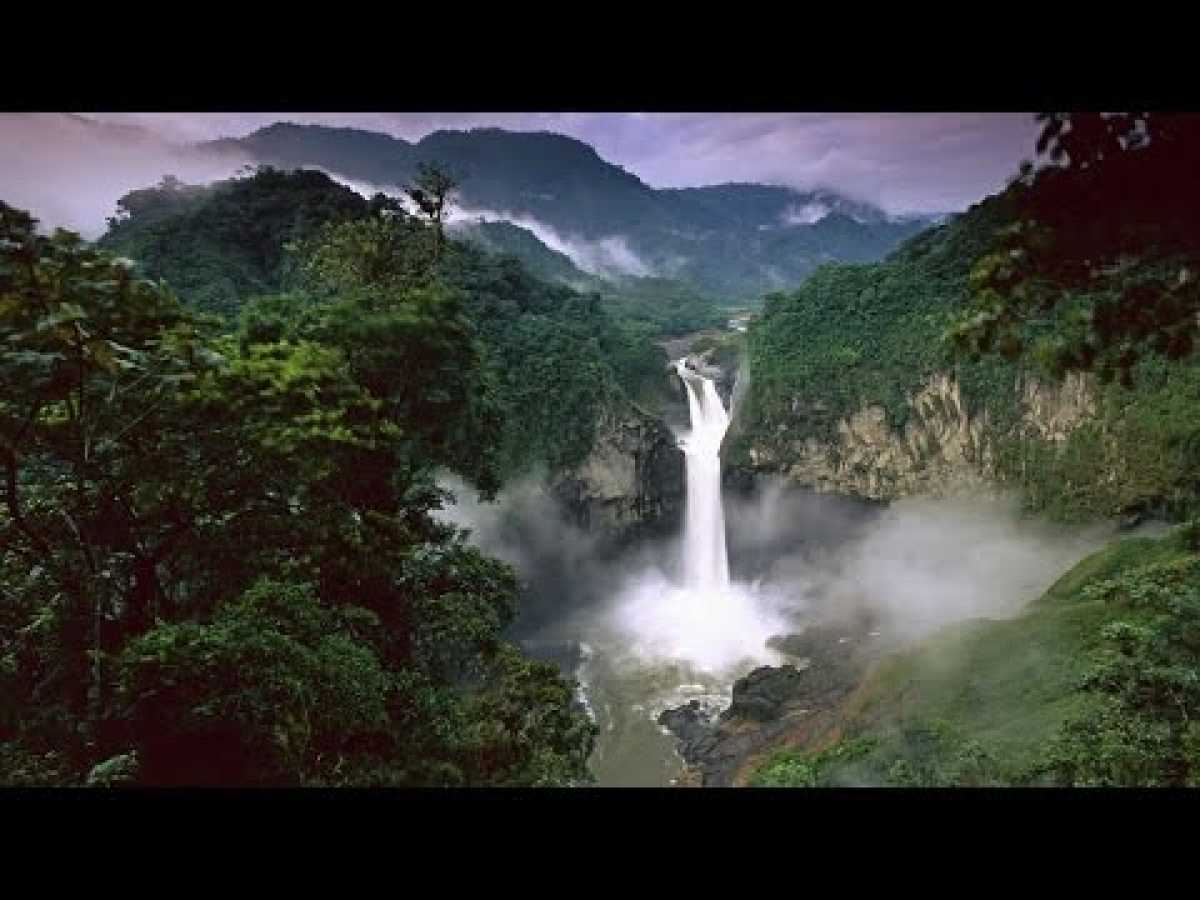 Amazonia's Rainforest (HD) - Nature Documentary â