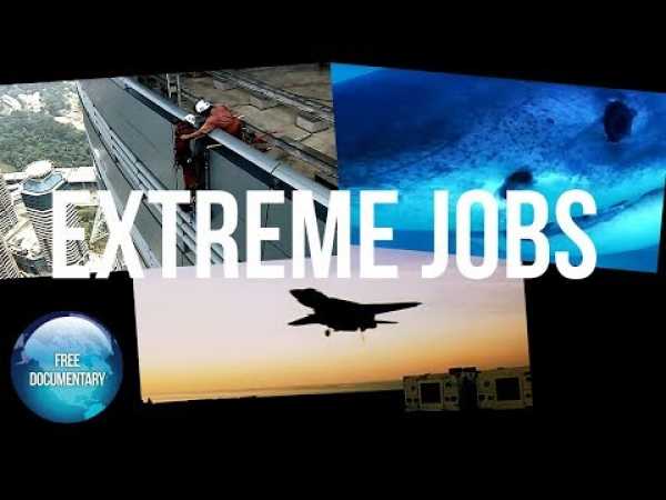 EXTREME JOBS: Eps 5 - Window Cleaner, Shark Scientist, Ordinance Expert
