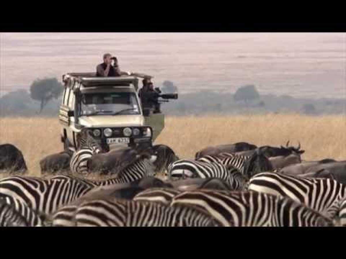 âº Serengeti - The Adventure (Full Documentary, HD)