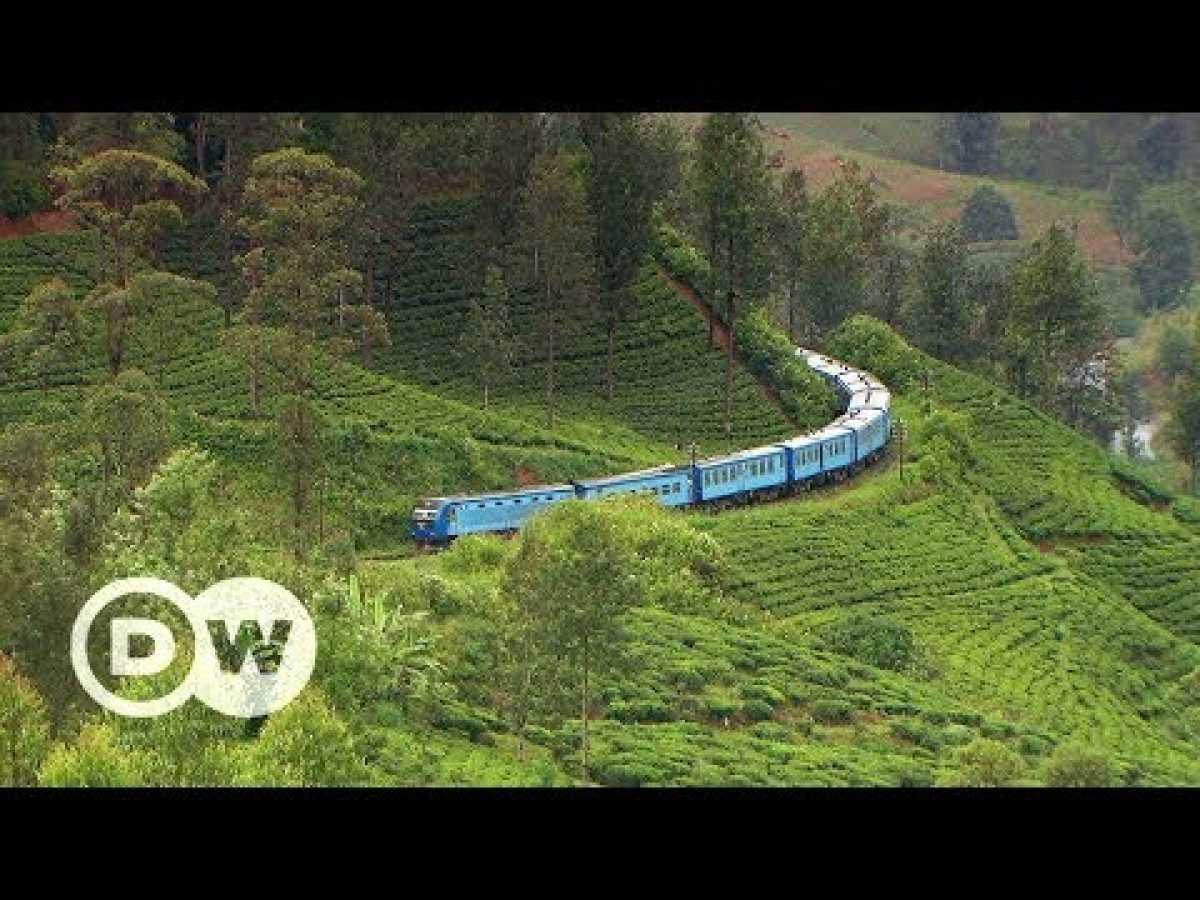By train across Sri Lanka | DW Documentary