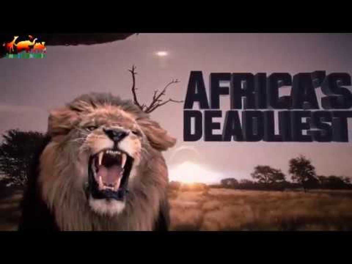 AFRICA&#039;S Deadliest () YOUNG BLOOD () Nat Geo WILD - HD 1080p