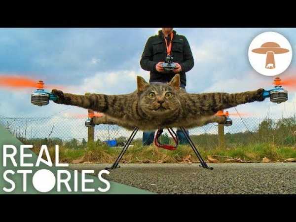 All Creatures Great and Stuffed (Extraordinary Taxidermy Documentary) | Real Stories