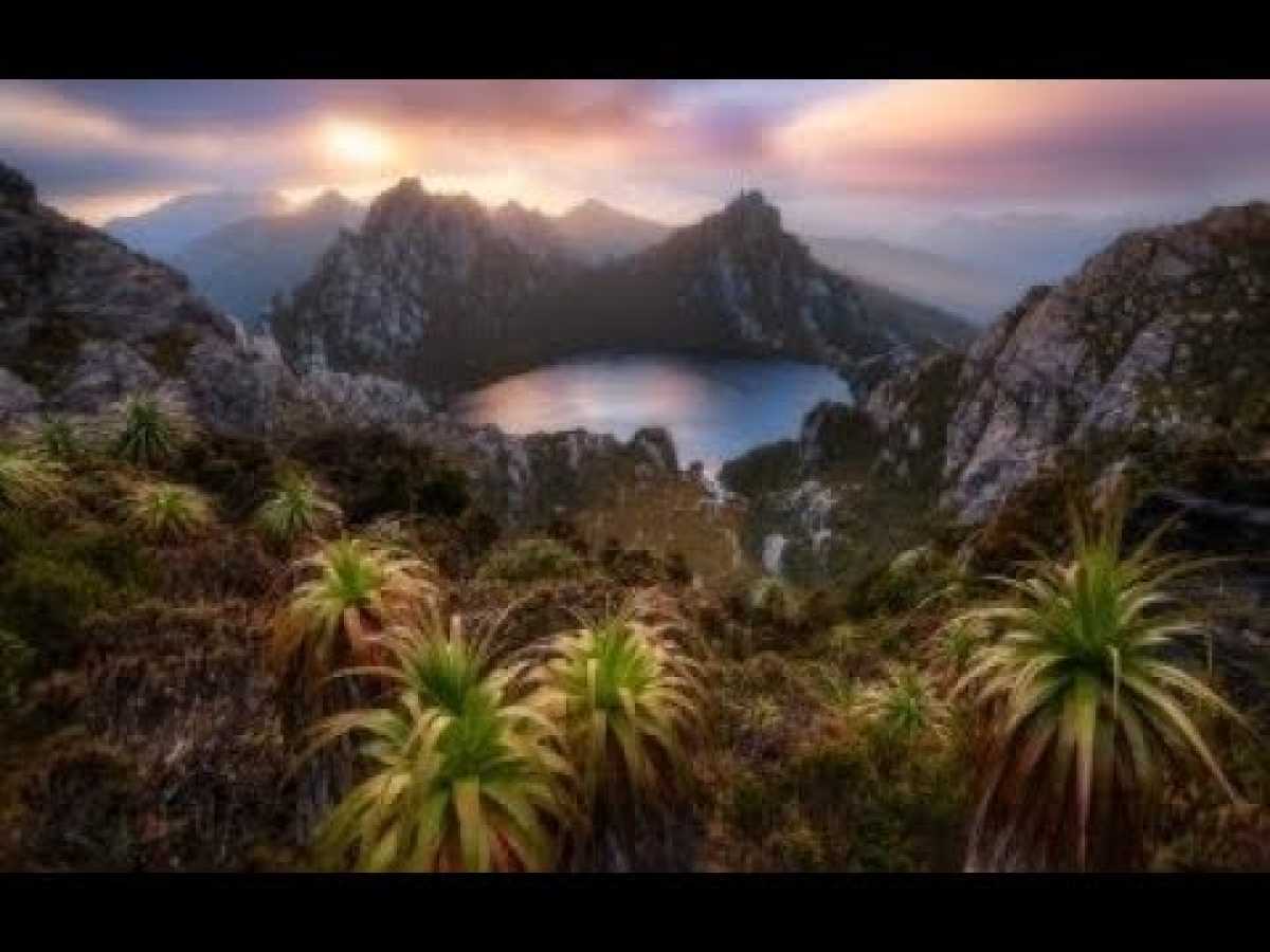 The Wierdest Island On Earth: Tasmania - Nature Documentary â