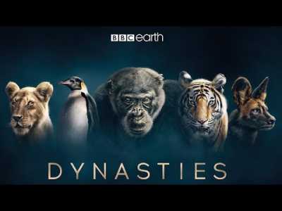 Rise of Animals - David Attenborough  - HD Documentary