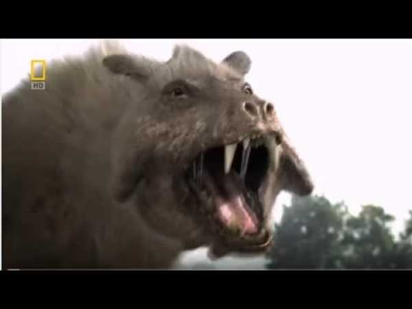 The Pig From Hell - HD National Geographic Dinosaur Documentaries