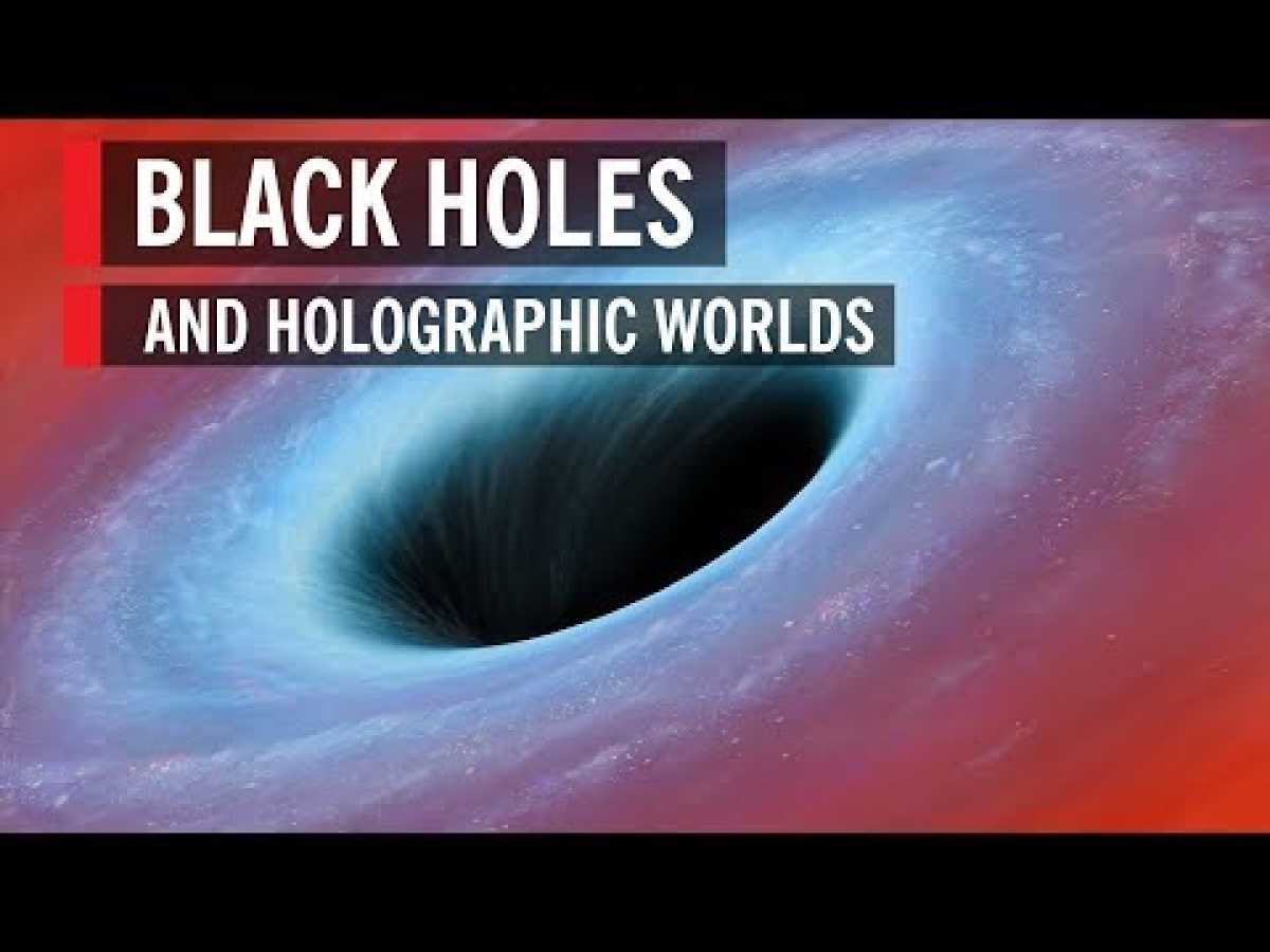Black Holes and Holographic Worlds