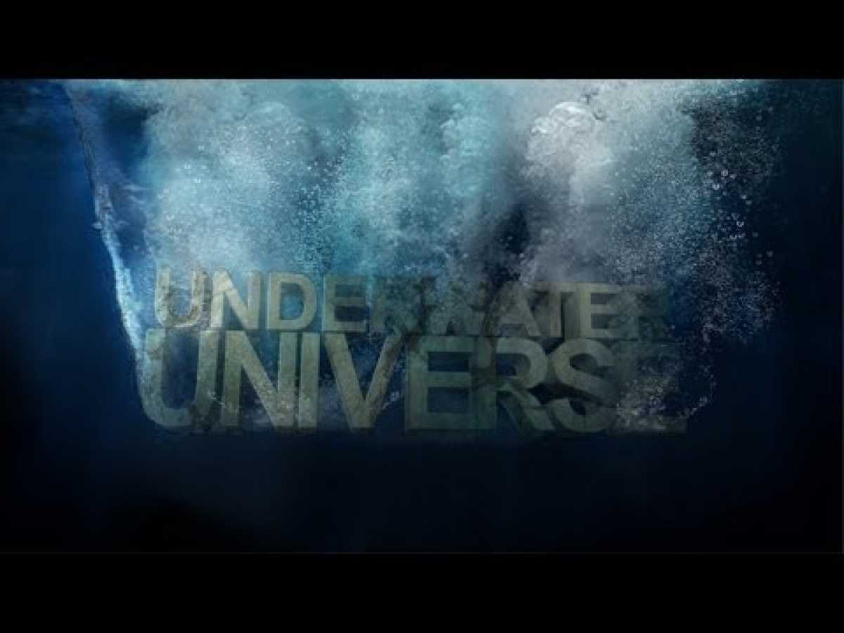 Underwater Universe Full HD 1080p, Amazing Documentary