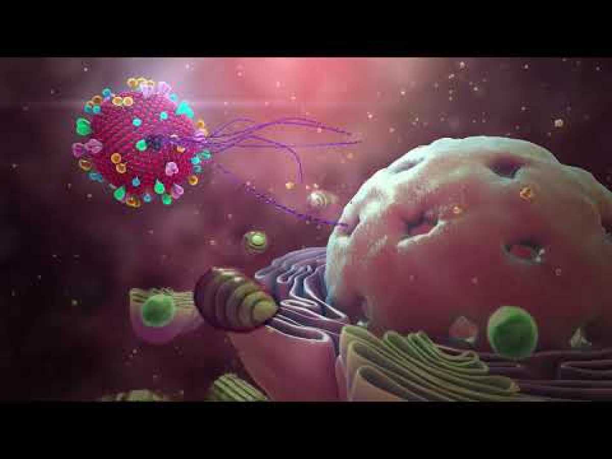 The coronavirus outbreak (2019 nCoV) explained through 3D Medical Animation