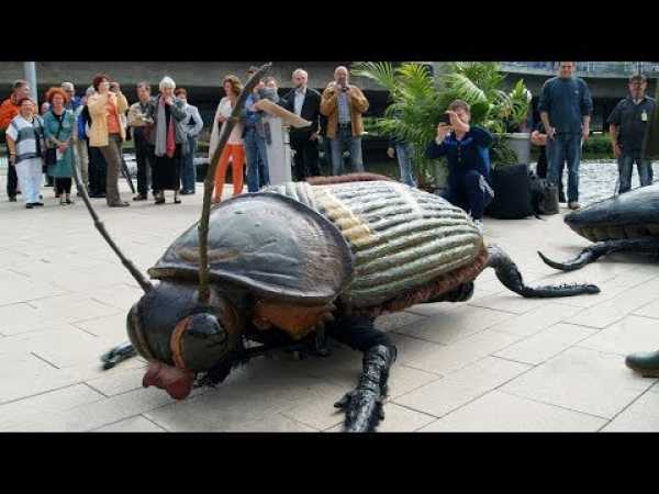Insects from Hell, The Biggest And Baddest Bugs - Full Nat Geo Documentary