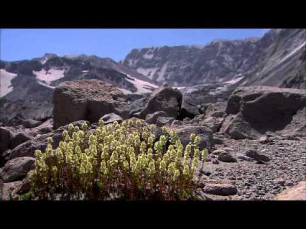 PBS NOVA  Mount St Helens 720p HDTV