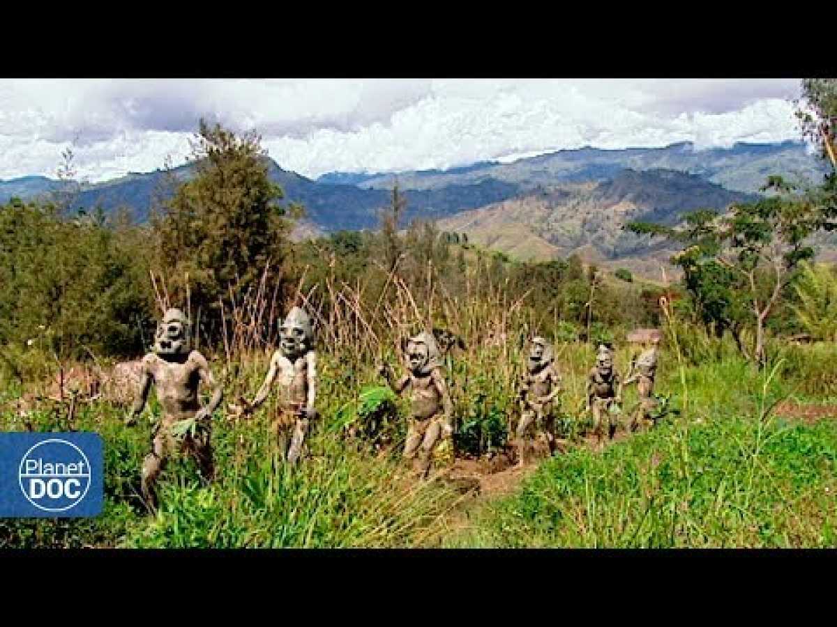Full Documentary | Ambassadors of the jungle - Planet Doc Full Documentaries