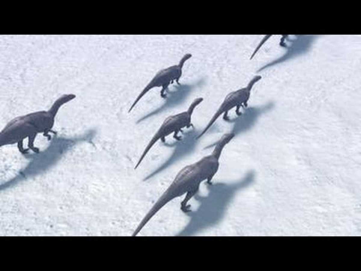 Nova Arctic Dinosaurs Full Documentary