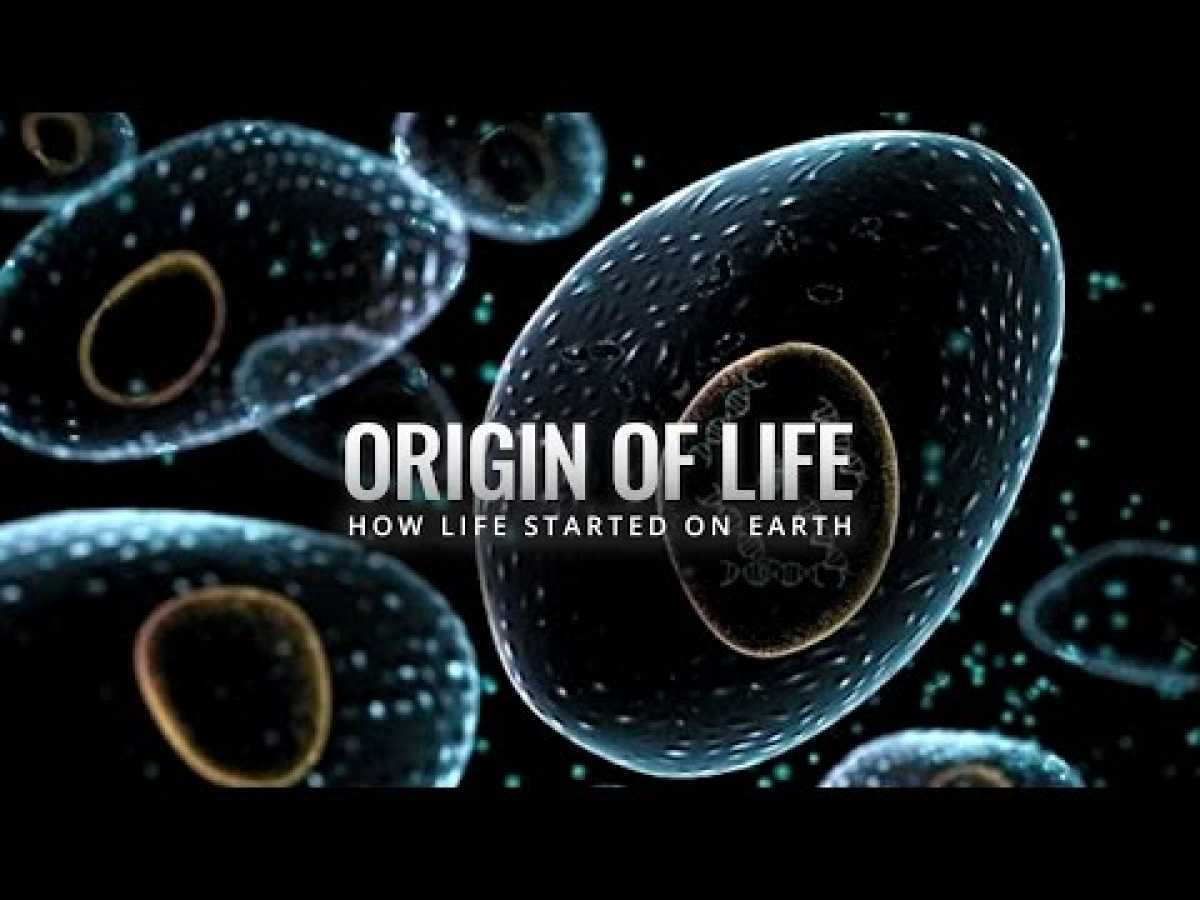 Origin of Life - How Life Started on Earth