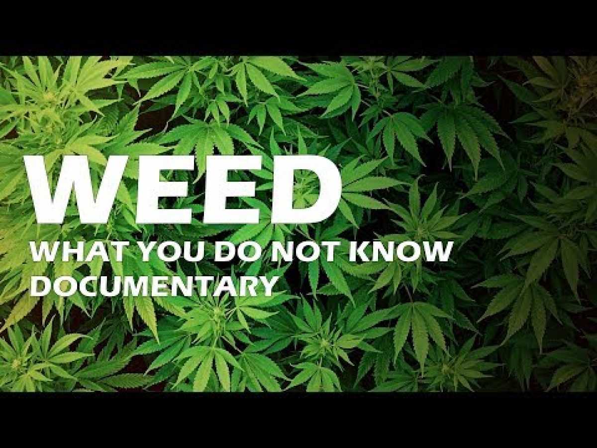 WEED: What You DONT KNOW - Documentary HD Marihuana, An Investigation, BBC 2018