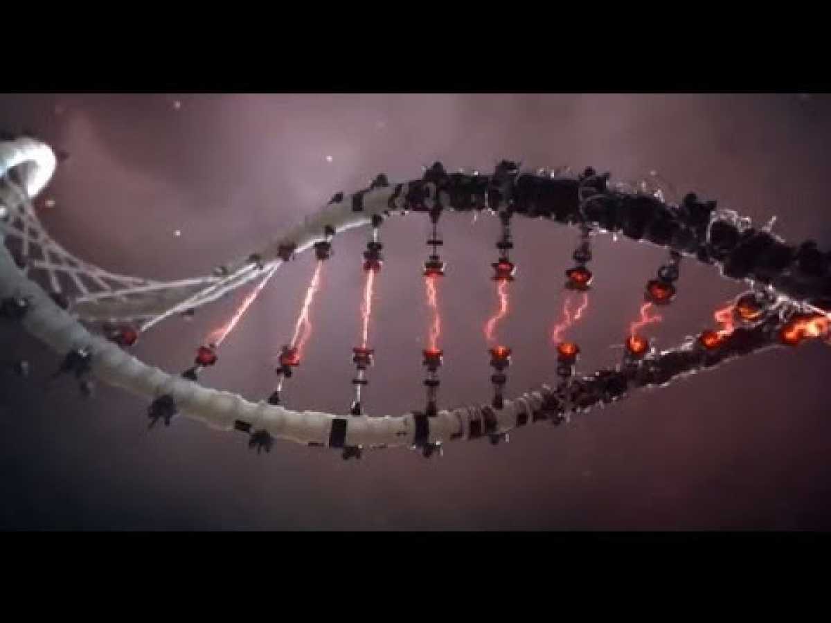 Theory of DNA Science - MESSAGE FROM GOD