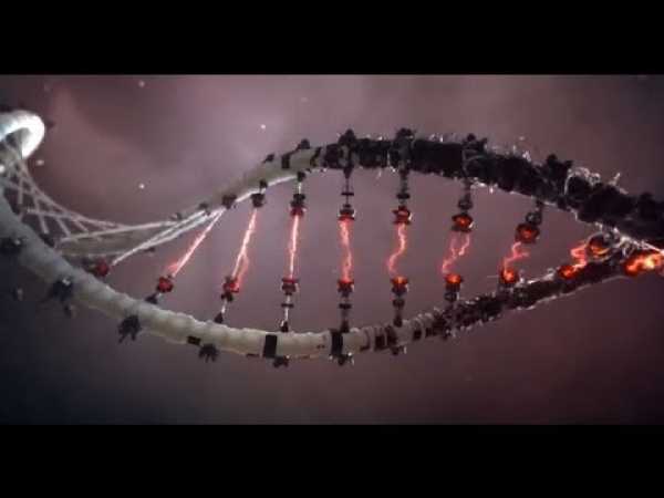 Theory of DNA Science - MESSAGE FROM GOD