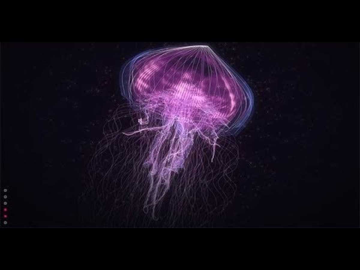 Creatures of Light Underwater - Best Documentary 2018[1080p] NEW