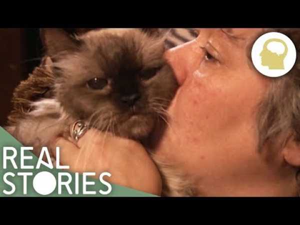 Cat Ladies (Obsessive Cat Owners Documentary) | Real Stories