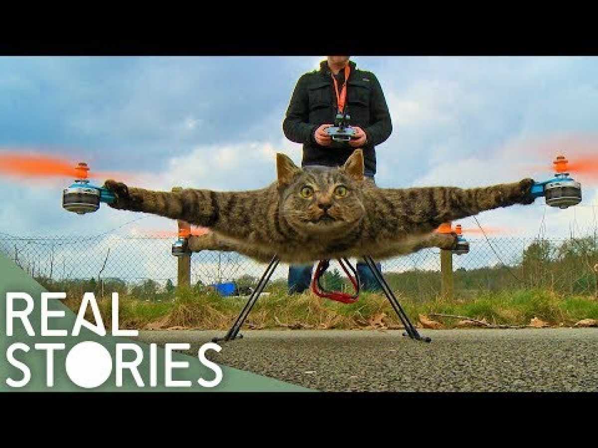 Would You Turn Your Cat Into A Drone? | Real Stories
