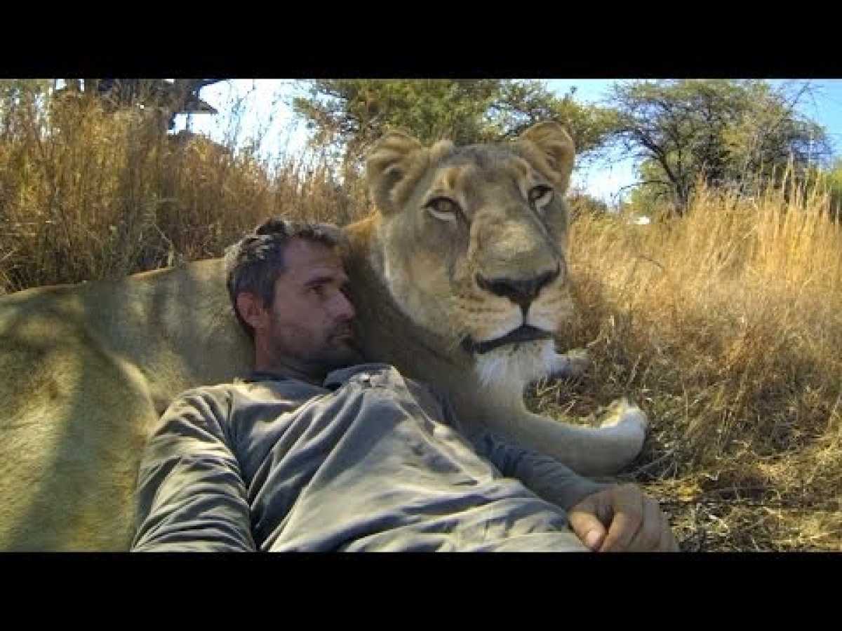 GoPro: Lions - The New Endangered Species?
