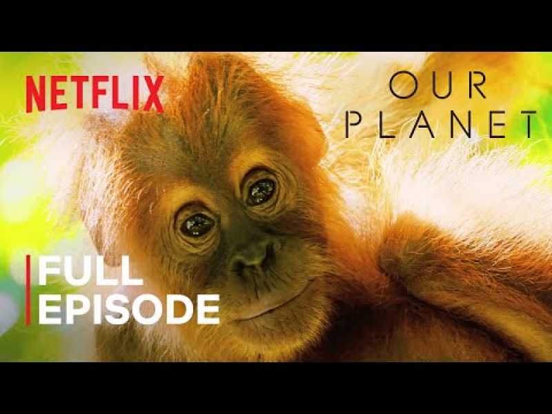 our-planet-jungles-full-episode-netflix