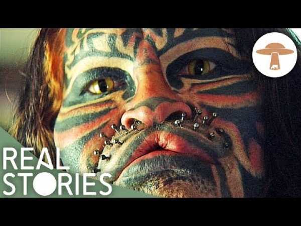 Animal Imitators (Weird and Wonderful Documentary) | Real Stories