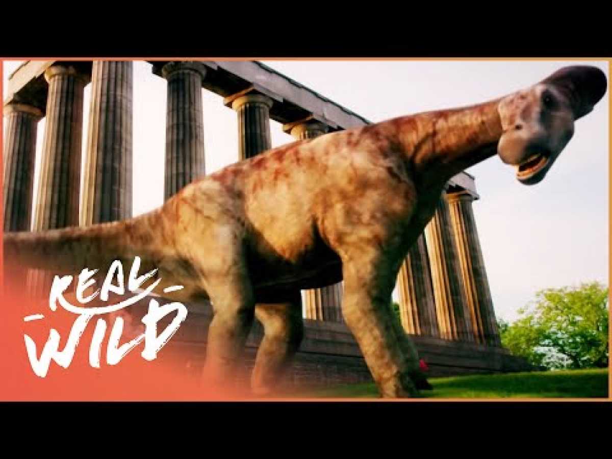 If Dinosaurs Didn&#039;t Go Extinct | Dinosaur Britain | Real Wild