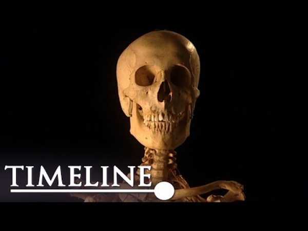 The First Human (Evolution Documentary) | Timeline