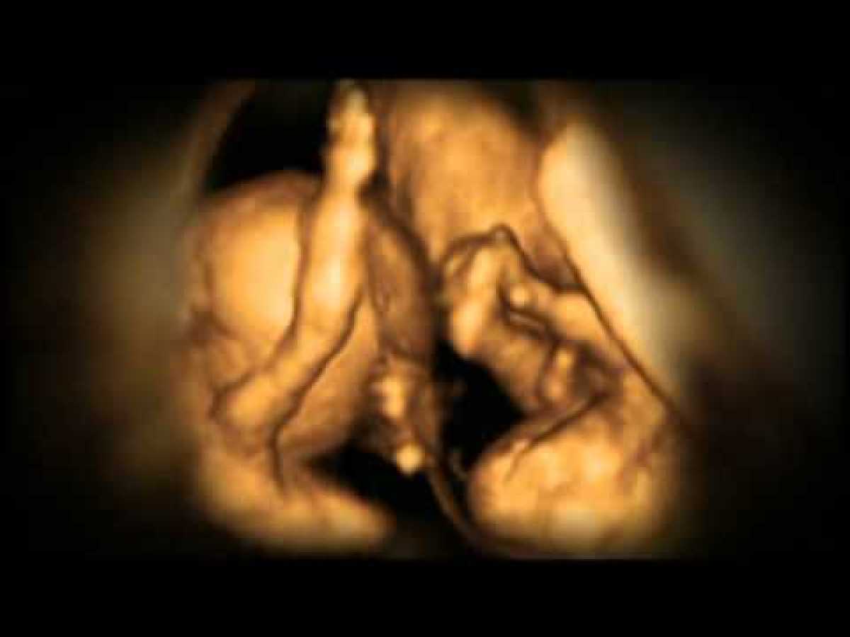 In the womb - pregnancy and baby documentary