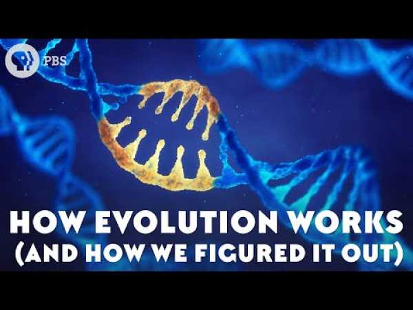 How Evolution Works (And How We Figured It Out)