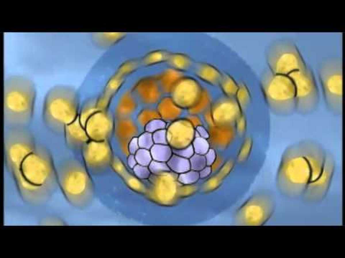 NOVA scienceNOW : 3 - Stem cells : Early research (2005)