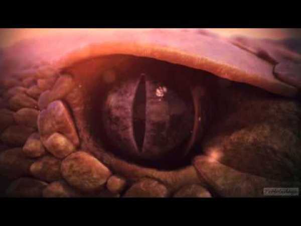 Nat Geo Wild HD Idents 2013 ( Nordic / Central Europe )