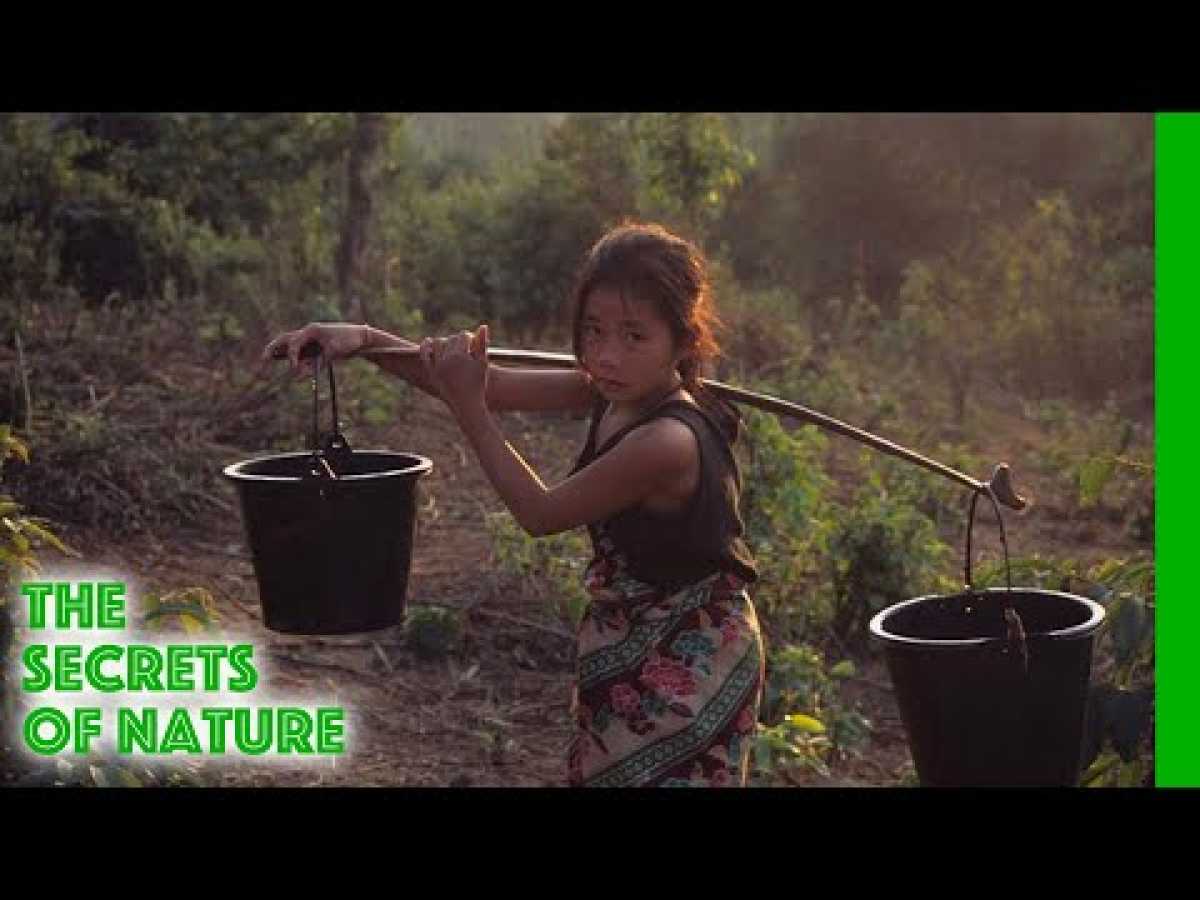 Laos Wonderland (full documentary) - The Secrets of Nature