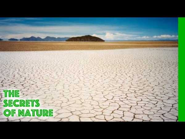 Salt, Tears of the Earth - The Secrets of Nature