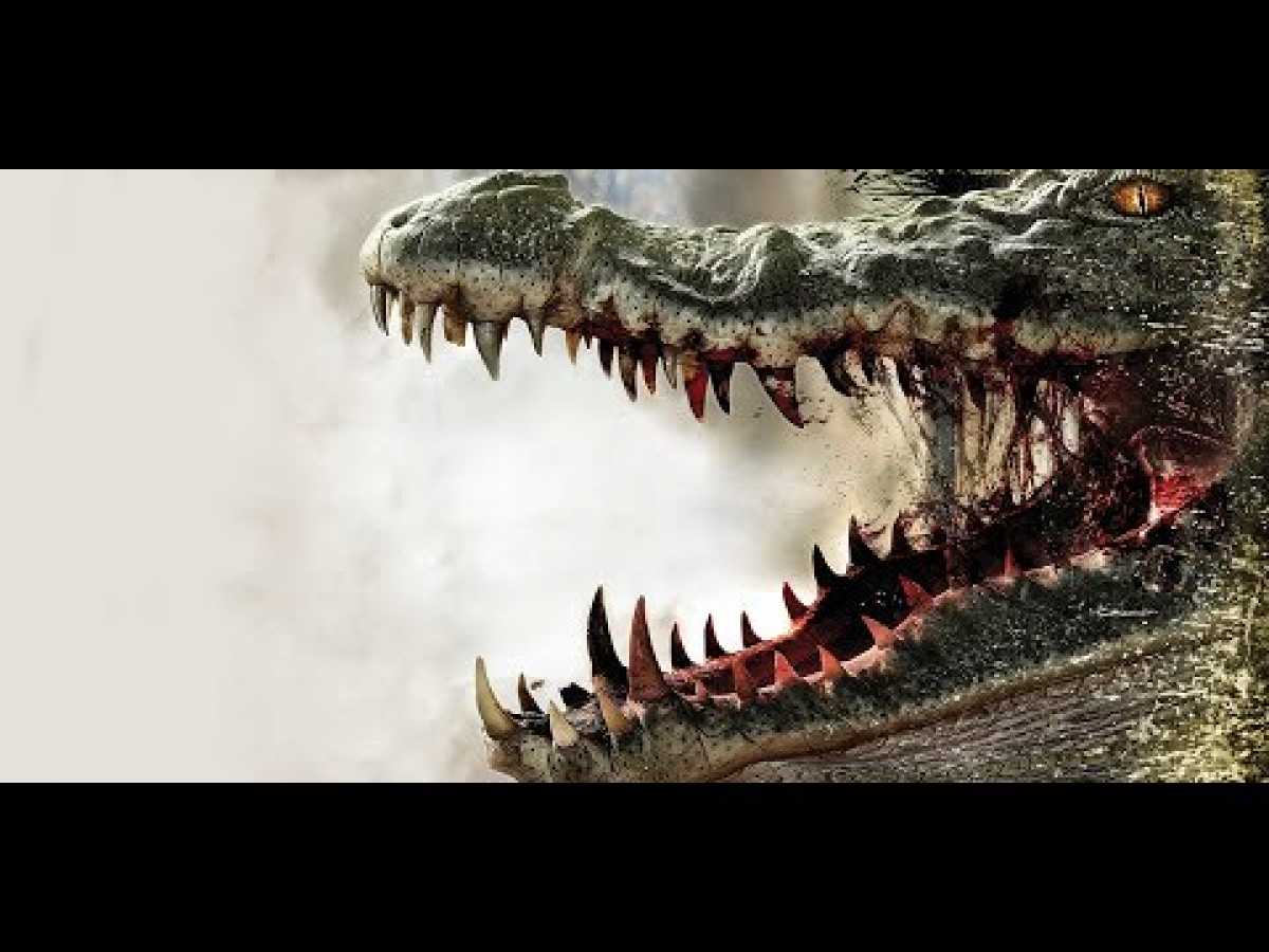 NAT GEO Wild | Trap of The Most Dangerous Giant Crocodile - Documentary HD