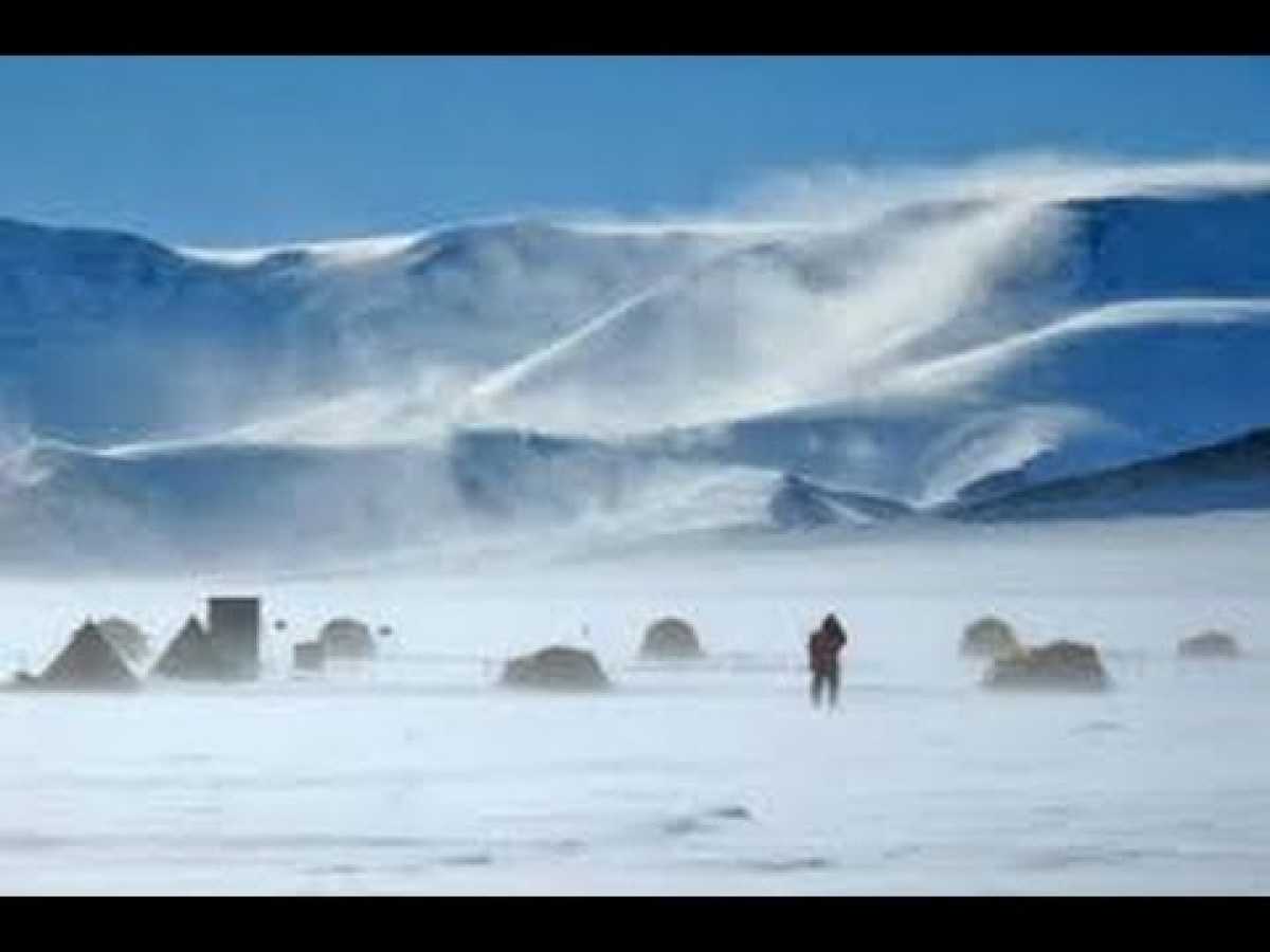 2017 Arctic Documentary HD - Wildest Arctic The Secrets of Nature
