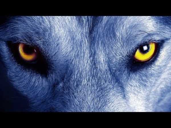The Truth About Werewolves - Full History Channel Documentary