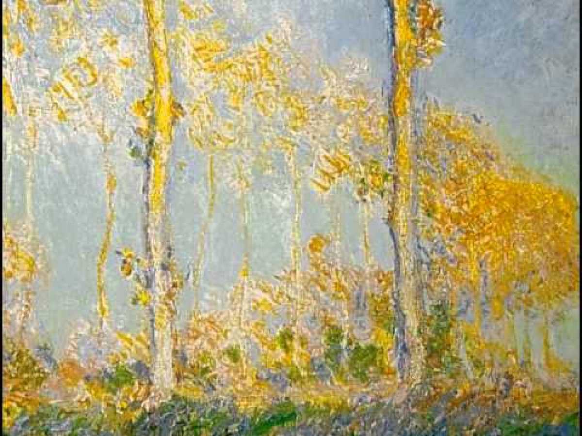 BBC Fine Art Collection 1 of 7 Mad About Monet