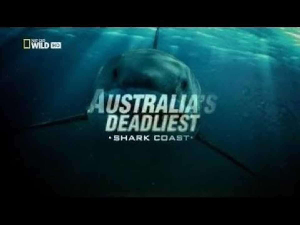 Australia's Deadliest: Shark Coast [HD National Geographic] PBS Nova :