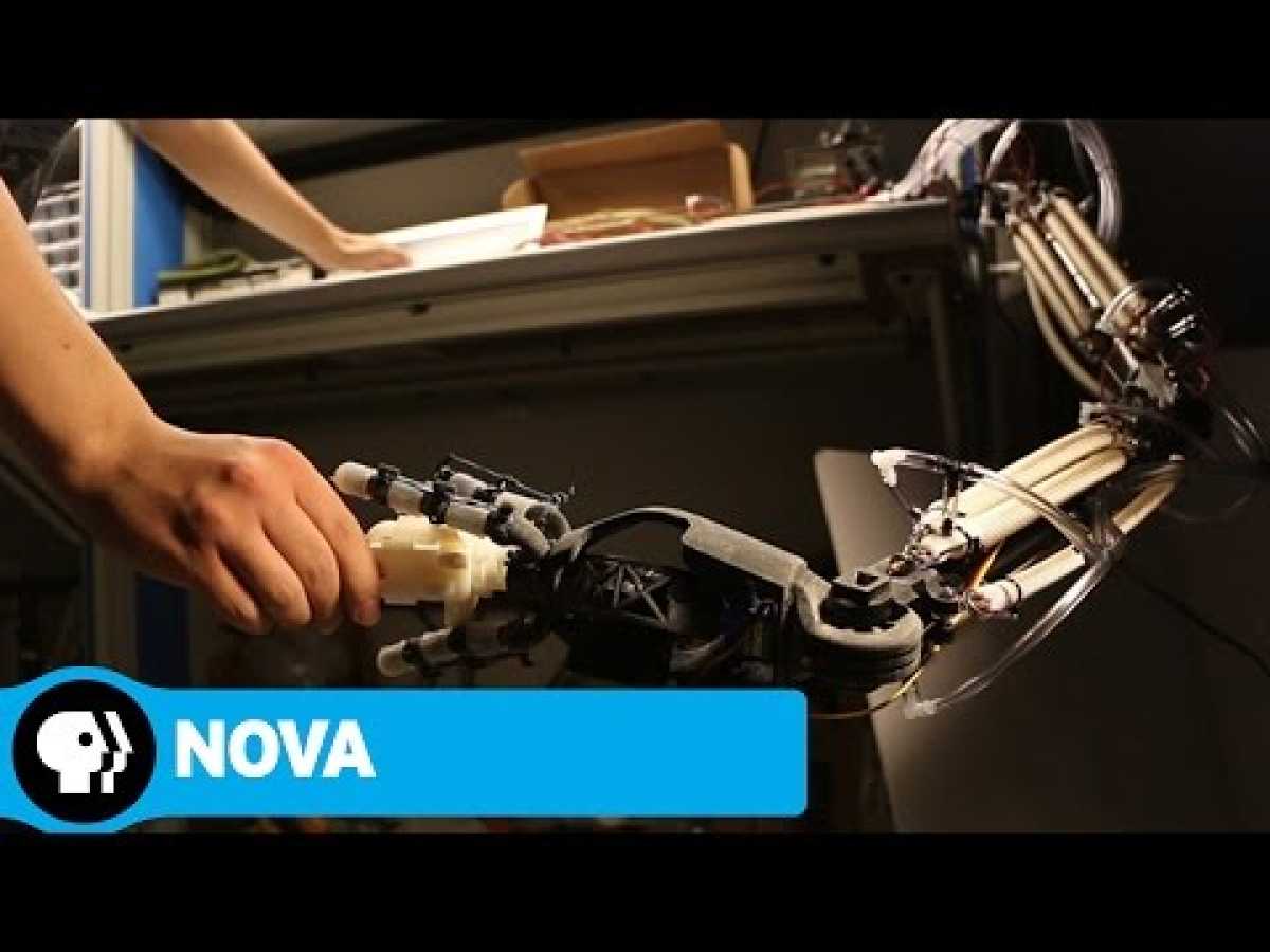 NOVA | Softer, More Human Robots | PBS
