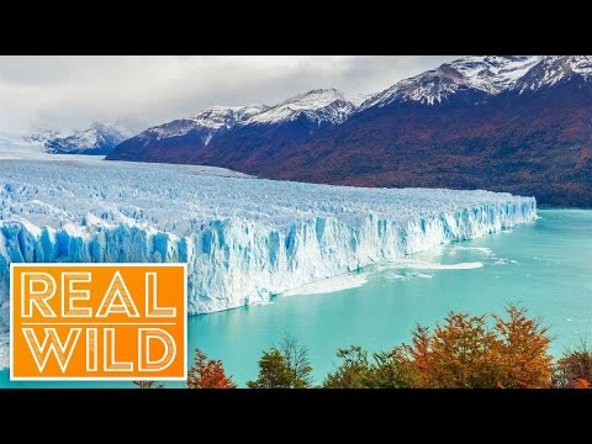 Patagonia! A Majestic Unknown Land In South America | Real Wild Documentary