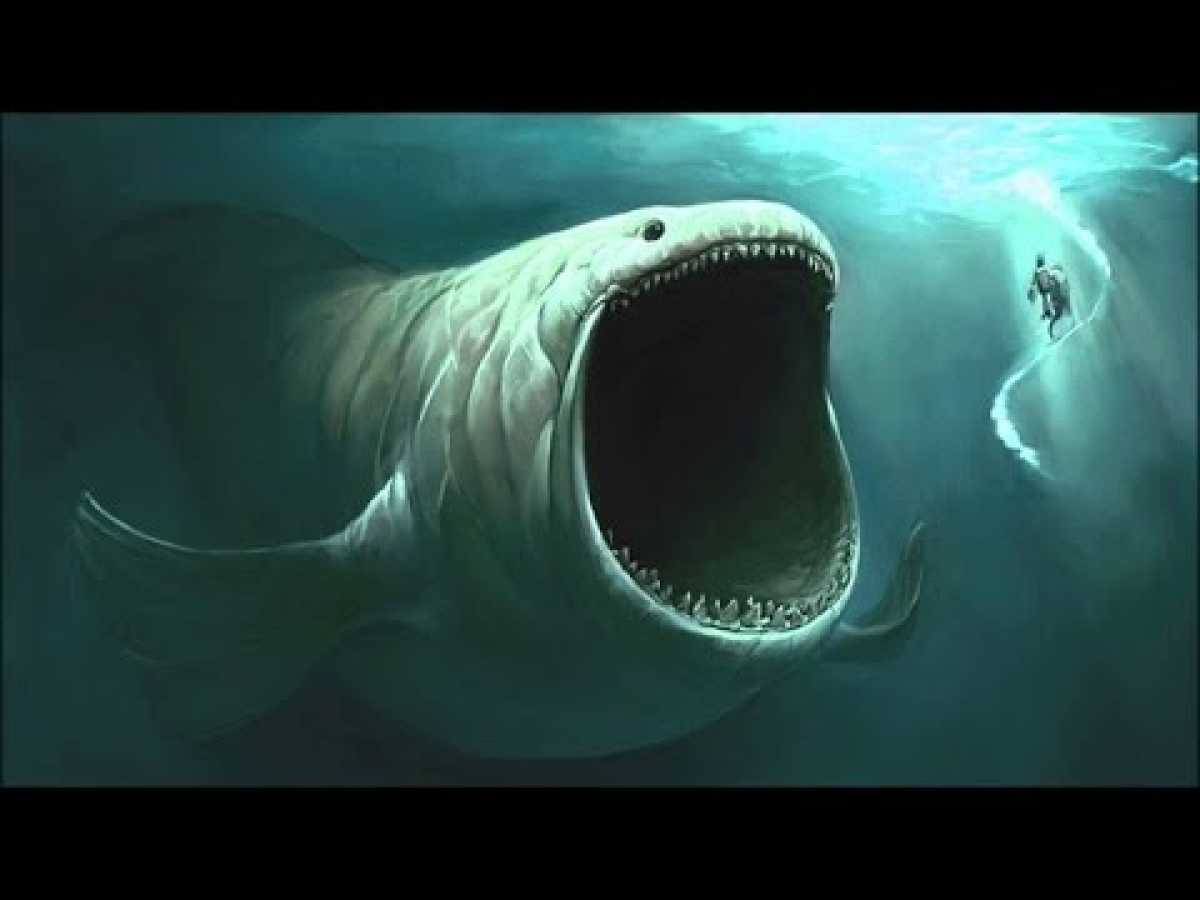 (Documentary) National Geographic - Encountering Sea Monsters - HD Nature Documentary