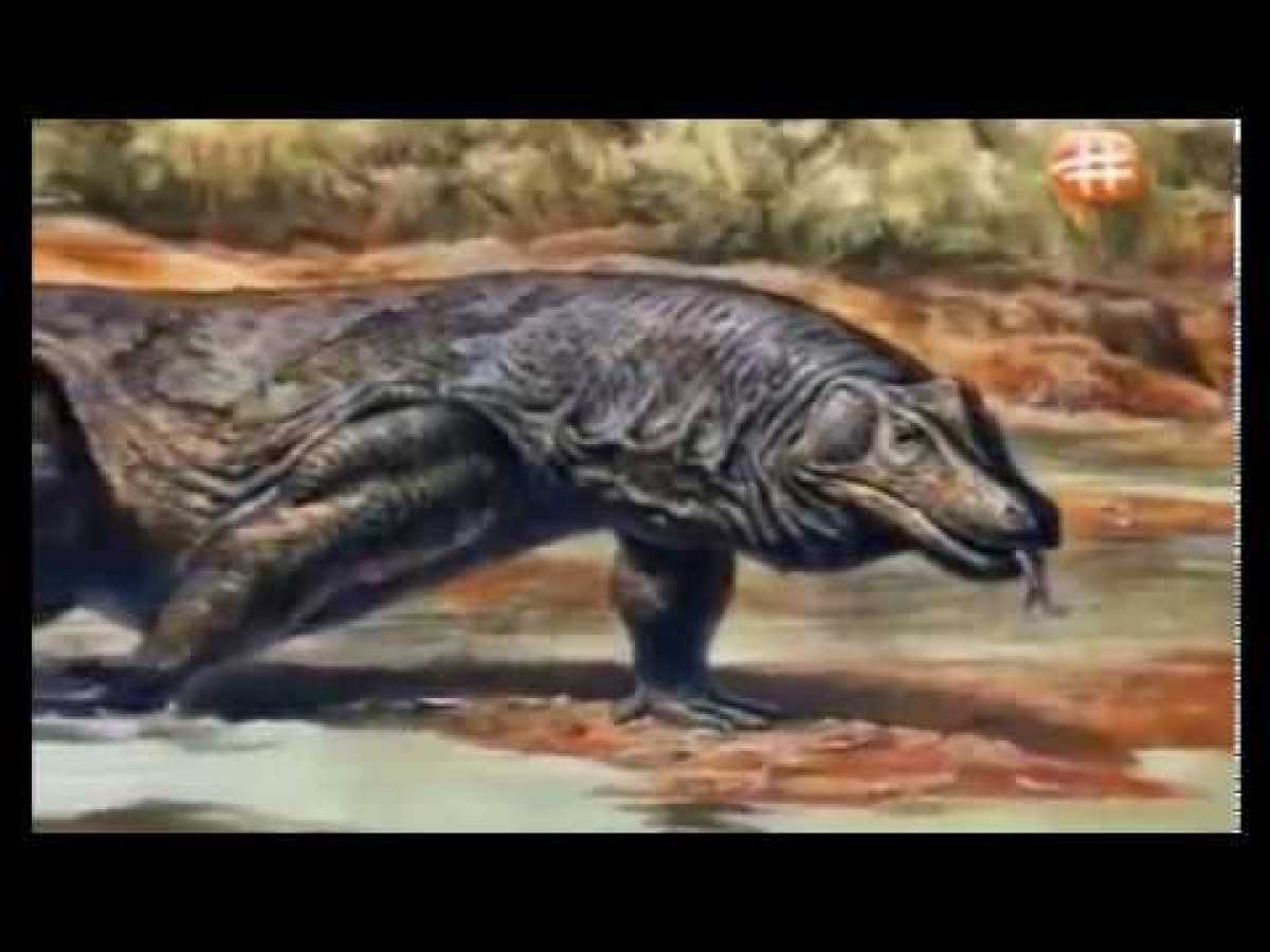 Documentary on Giant Komodo Dragons (Nature Documentary)