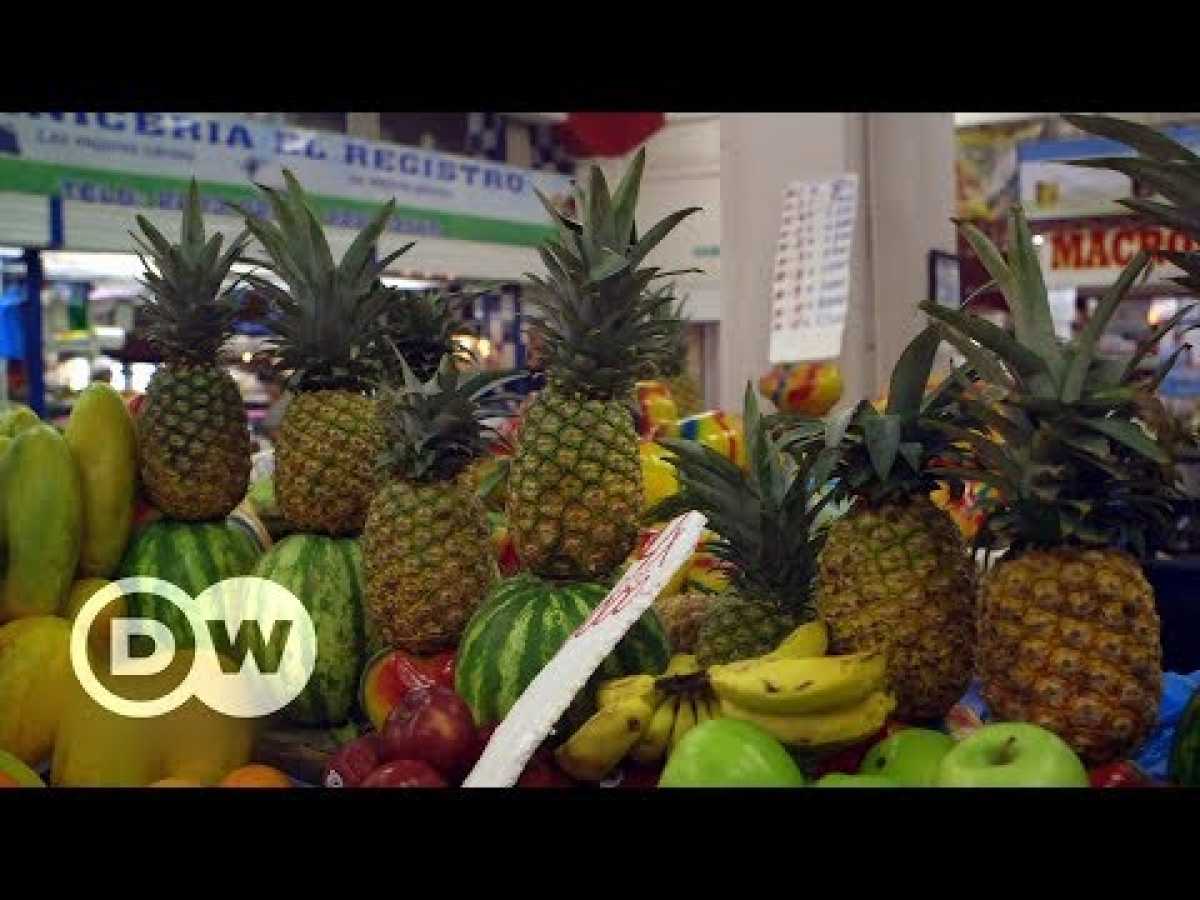 Where does your fruit come from and at what cost? | DW Documentary